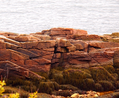 [Salmon colored rock at the shores edge with deeply grooved horizontal and slanted straight lines. Bottom of rock is algae covered.]